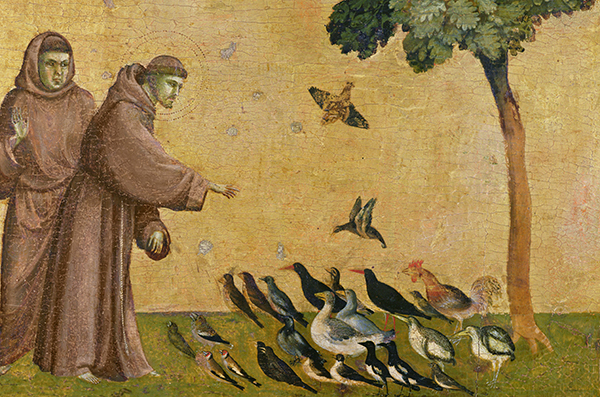 Saint François d'Assise et la nature